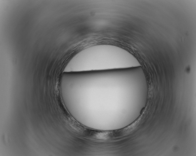 X0000090930178200707301122