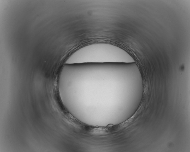 X0000090930179200707301122