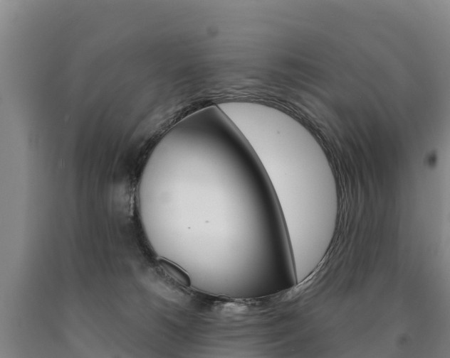 X0000090930180200707301122