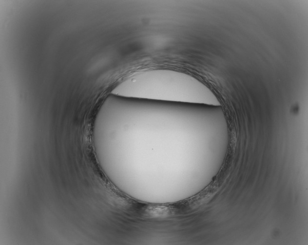 X0000090930181200707301122
