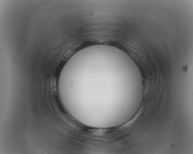 X0000090930182200707301122