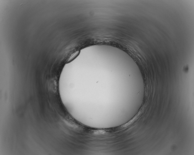 X0000090930183200707301122