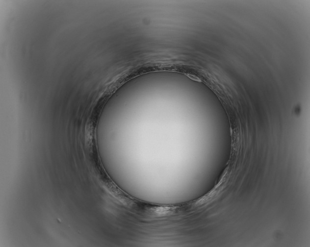 X0000090930184200707301122