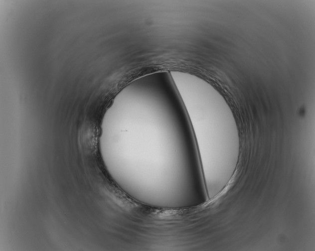 X0000090930186200707301123