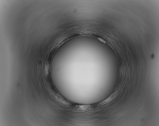 X0000090930188200707301123