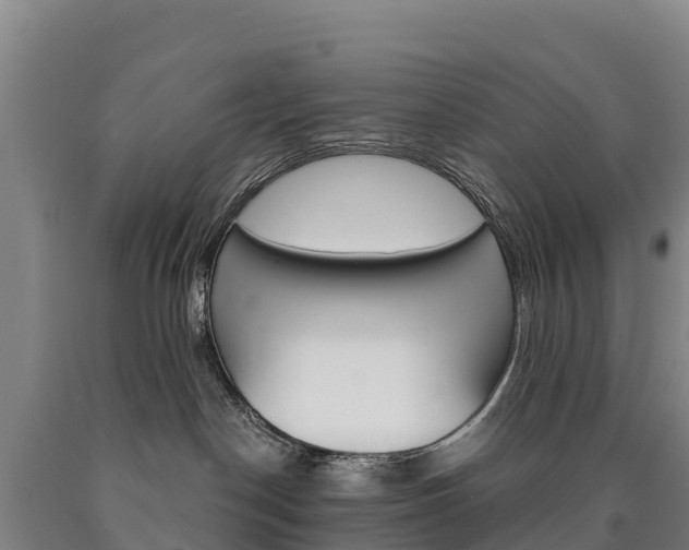 X0000090930190200707301123