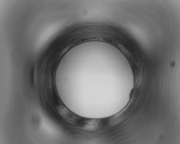 X0000090930191200707301123