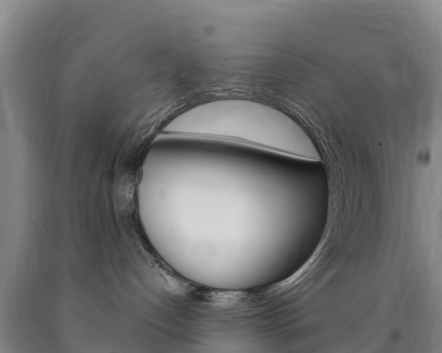 X0000090930192200707301123