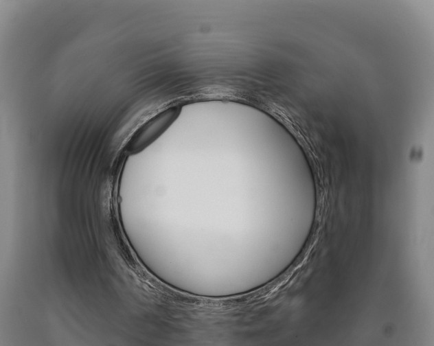 X0000090930194200707301122