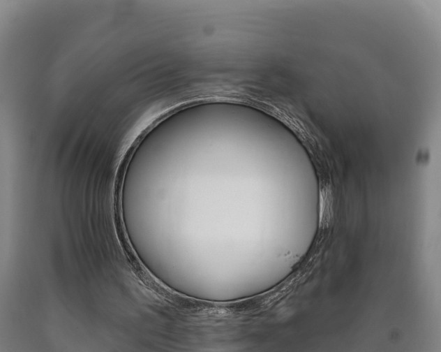 X0000090930195200707301122