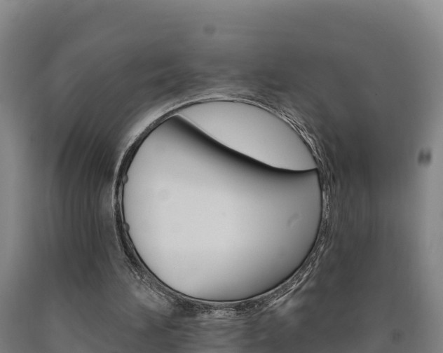 X0000090930196200707301122