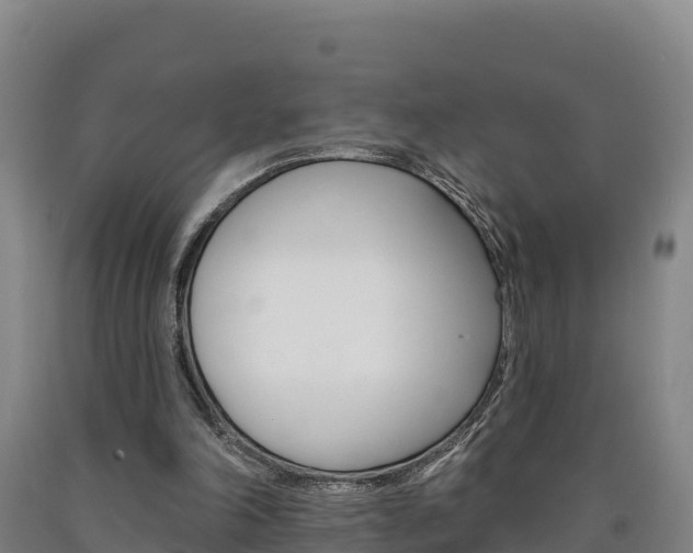 X0000090930198200707301122