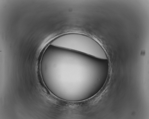 X0000090930199200707301122