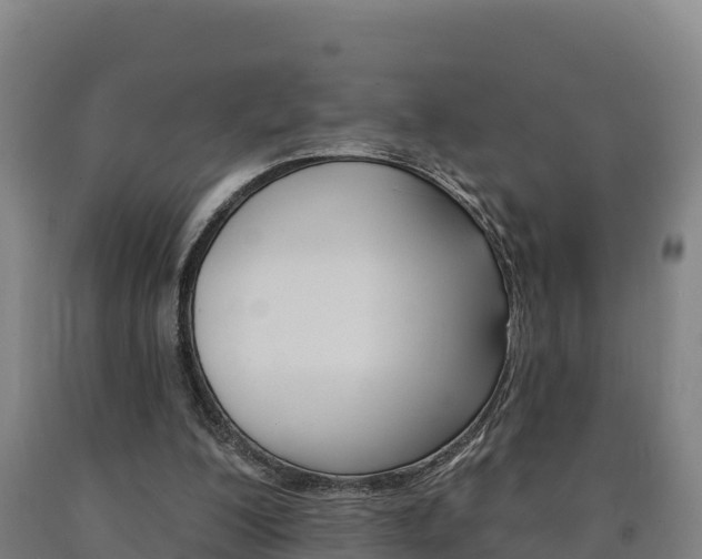 X0000090930200200707301122