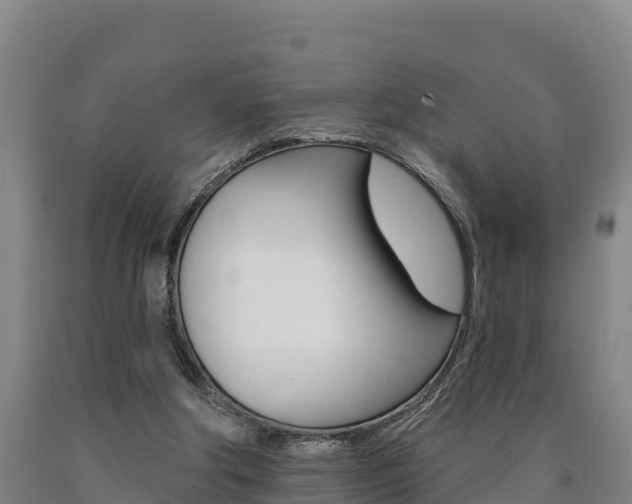 X0000090930202200707301122