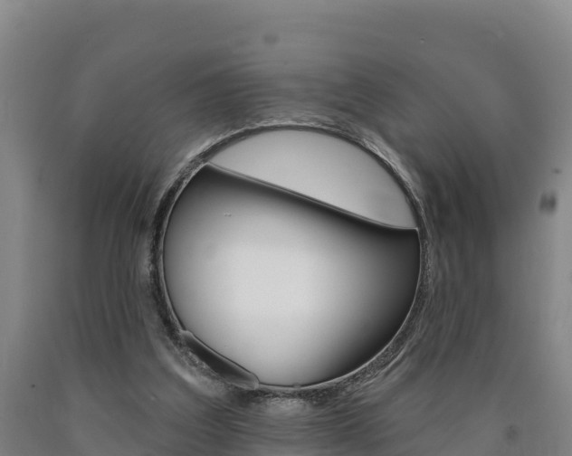 X0000090930203200707301122