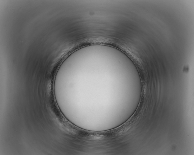 X0000090930206200707301122