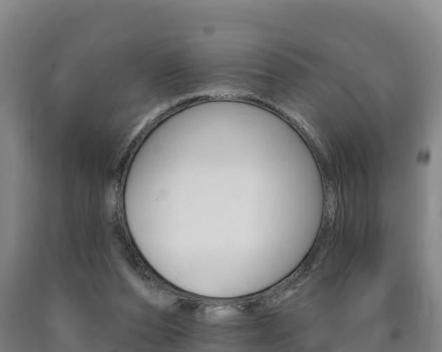 X0000090930208200707301122