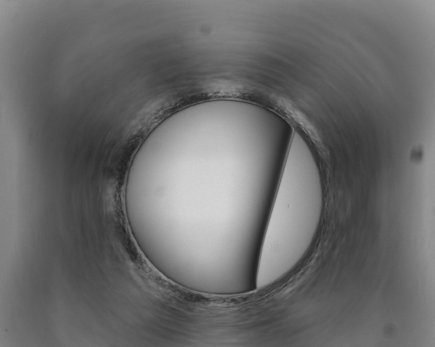 X0000090930209200707301122