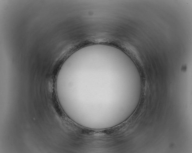 X0000090930210200707301122