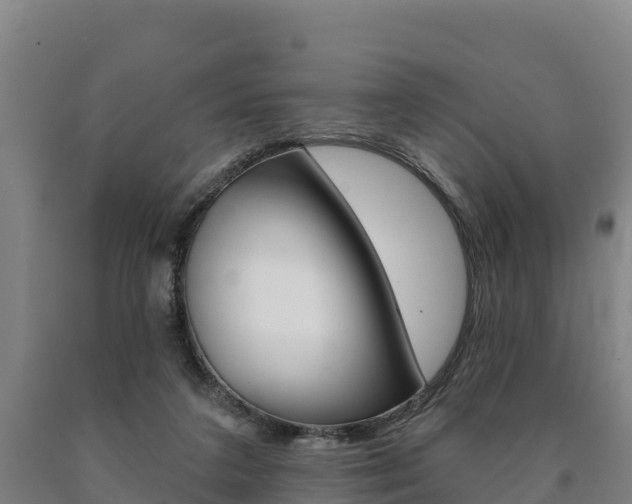 X0000090930211200707301122
