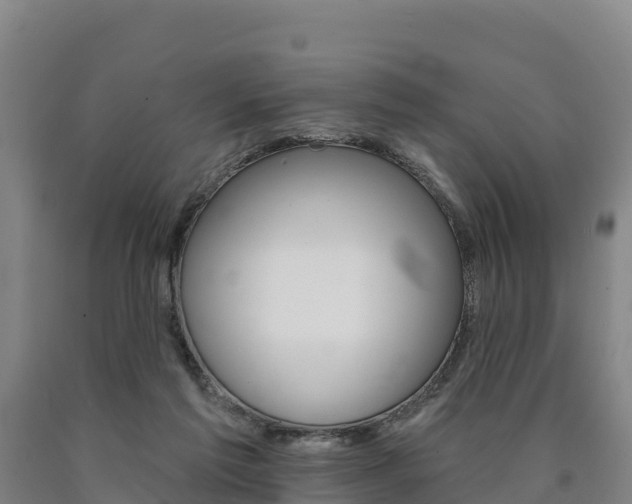 X0000090930213200707301122