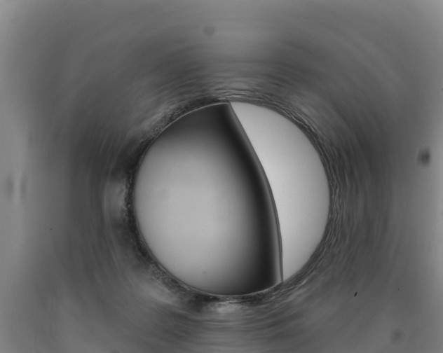 X0000090930219200707301122