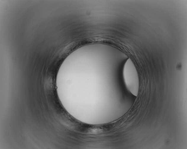 X0000090930220200707301121