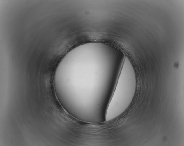 X0000090930221200707301121