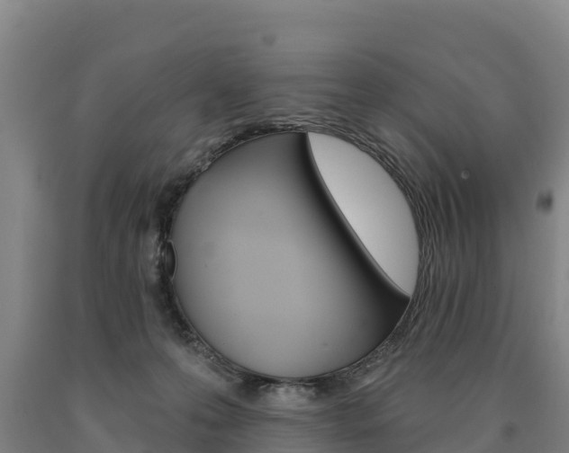 X0000090930223200707301121