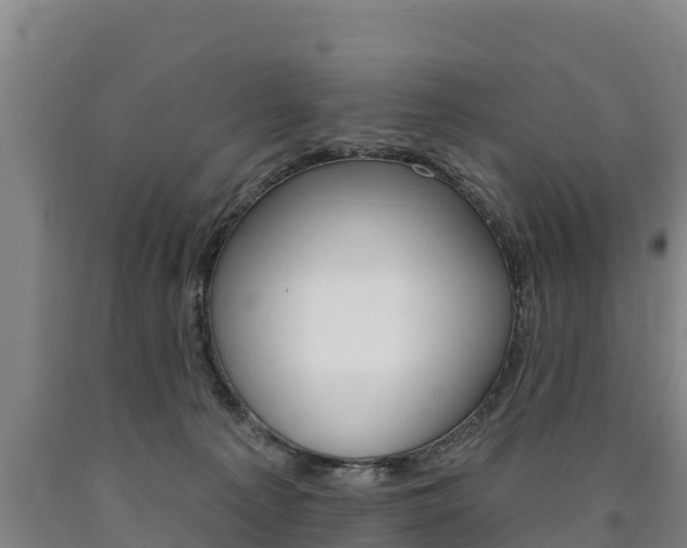 X0000090930225200707301121