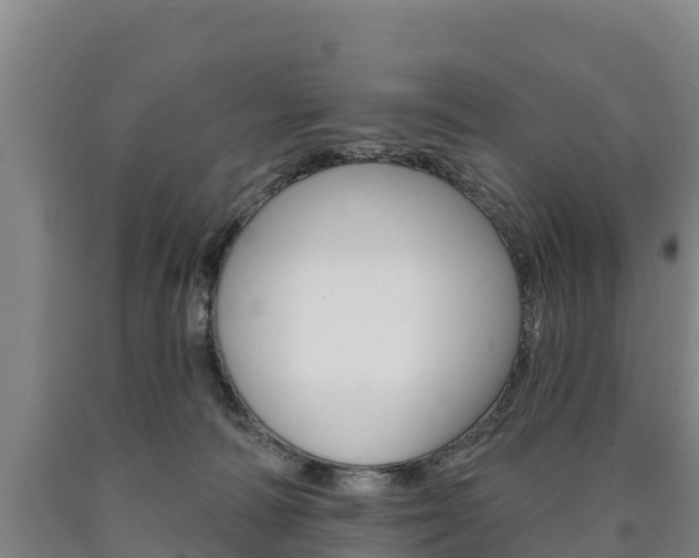 X0000090930226200707301121