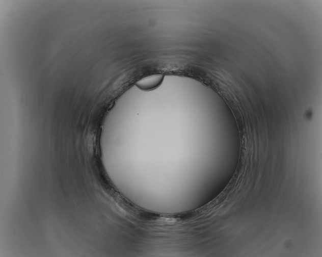 X0000090930227200707301121