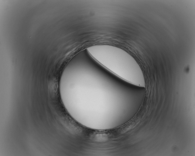 X0000090930228200707301121