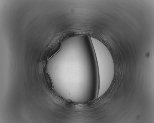 X0000090930229200707301121