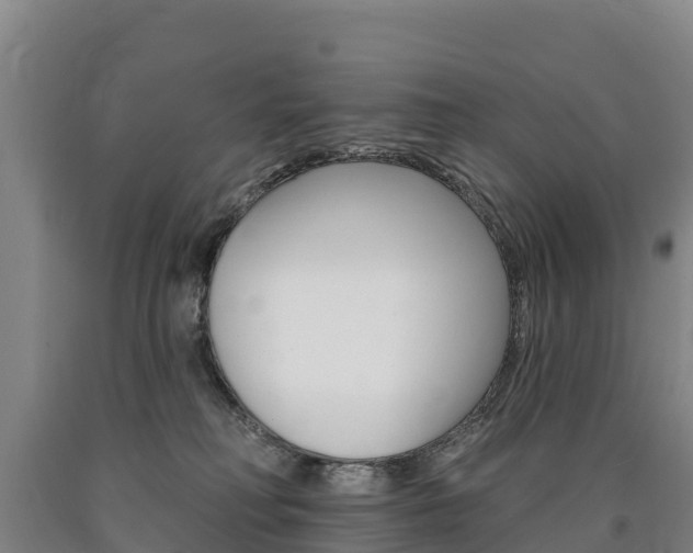 X0000090930230200707301121