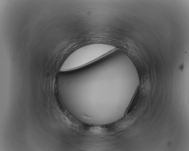 X0000090930231200707301121