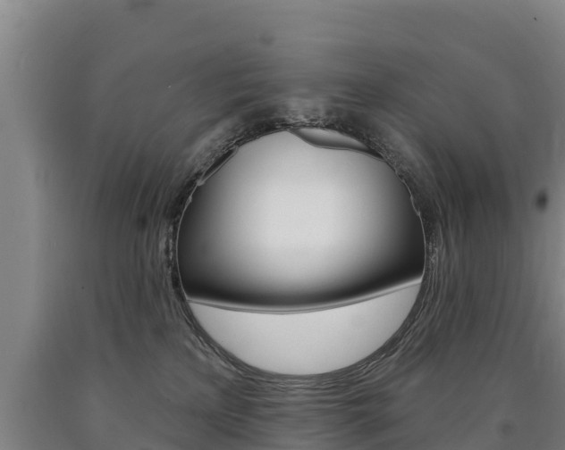 X0000090930233200707301121