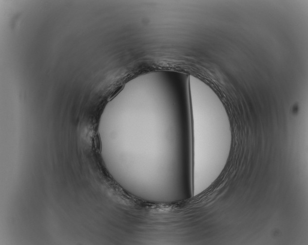 X0000090930235200707301121