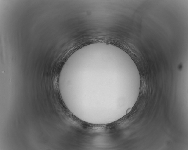 X0000090930236200707301121