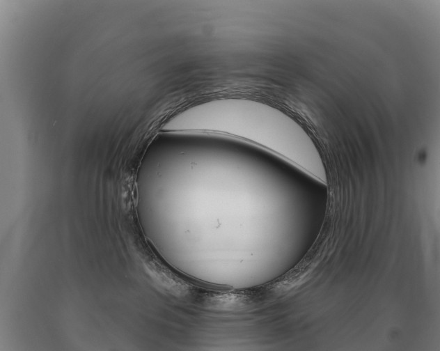 X0000090930237200707301121