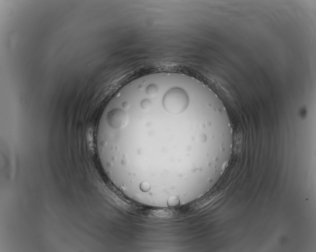 X0000090930238200707301121