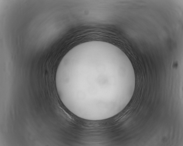 X0000090930239200707301121