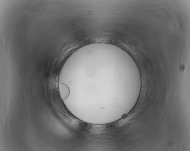X0000090930240200707301121