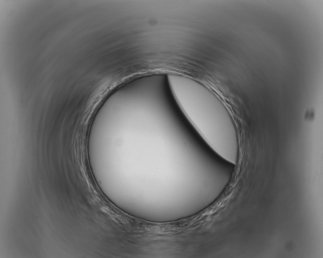 X0000090930241200707301120