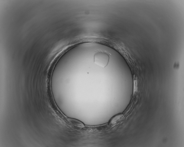 X0000090930243200707301120