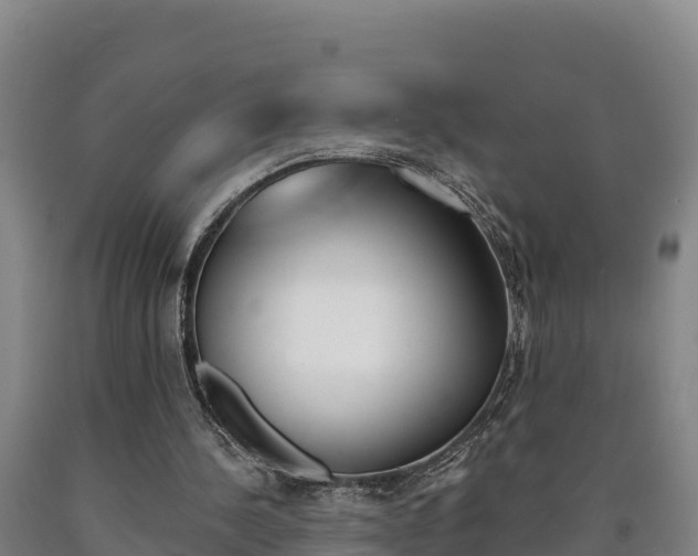 X0000090930244200707301121