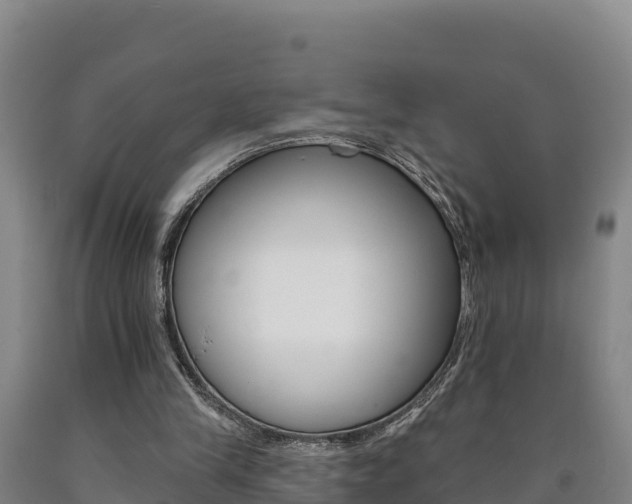 X0000090930245200707301121