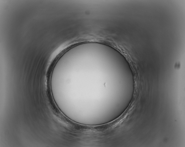 X0000090930246200707301121