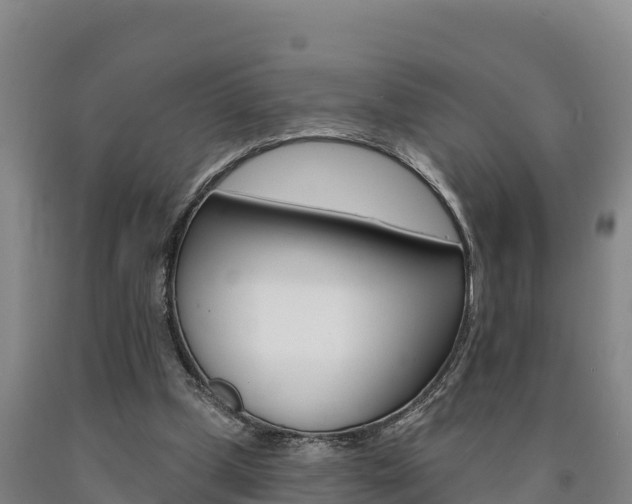 X0000090930249200707301121